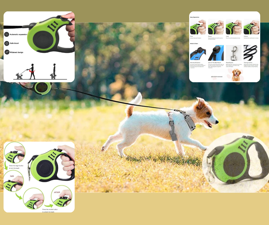 Guinzaglio retrattile per cani FeedIQ™ 3m/5m