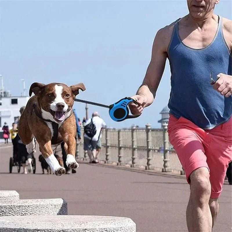 Guinzaglio retrattile per cani FeedIQ™ 3m/5m
