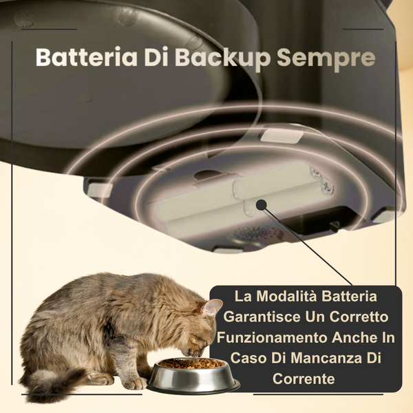 FeedIQ™ Distributore intelligente di cibo per animali domestici HD NVCam 4/8L WIFI