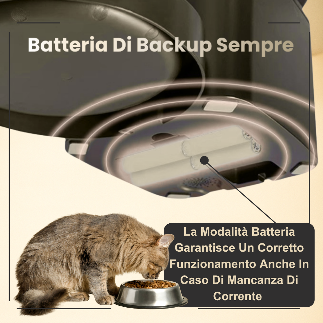 FeedIQ™ Distributore intelligente di cibo per animali domestici HD NVCam 4/8L WIFI