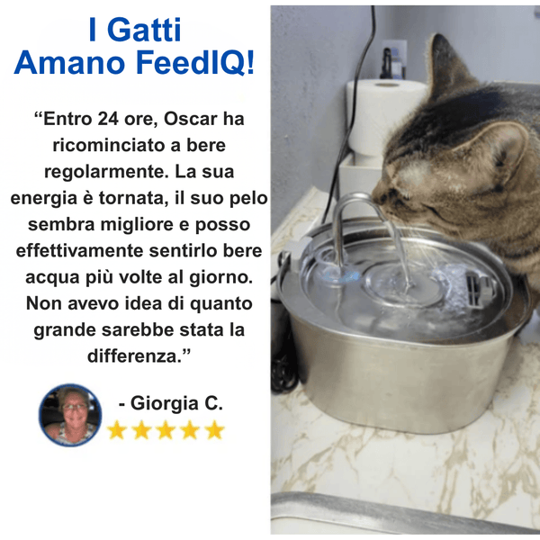 FeedIQ™ Fontana Pro 2.2 Litri