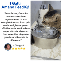 FeedIQ™ Fontana Pro 2.2 Litri