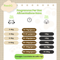 FeedIQ™ Smart HD Cam Pet Feeder 2L Wi-Fi e FHD