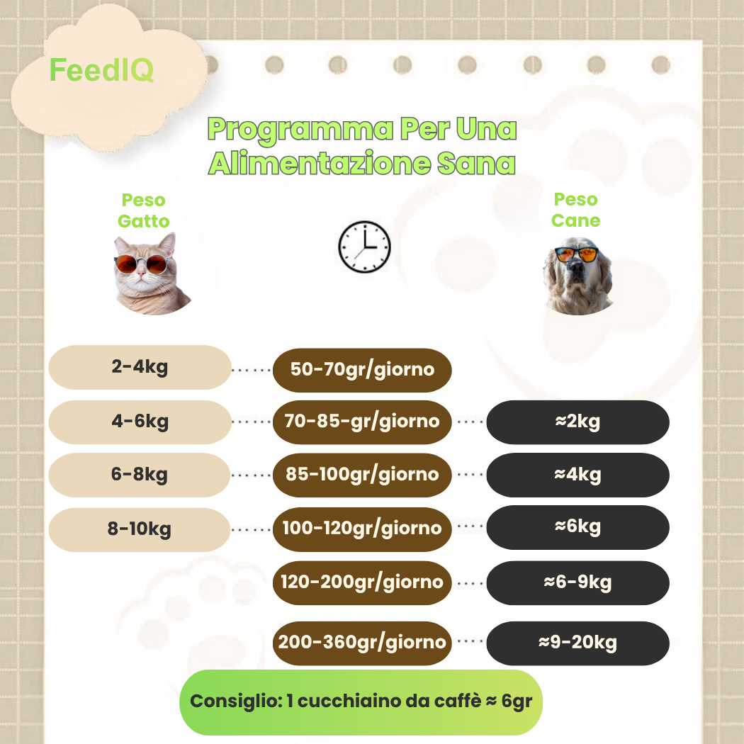 FeedIQ™ Distributore intelligente di cibo per animali domestici HD NVCam 4/8L WIFI