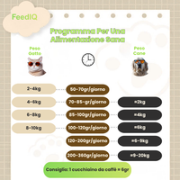 FeedIQ™ Distributore intelligente di cibo per animali domestici HD NVCam 4/8L WIFI