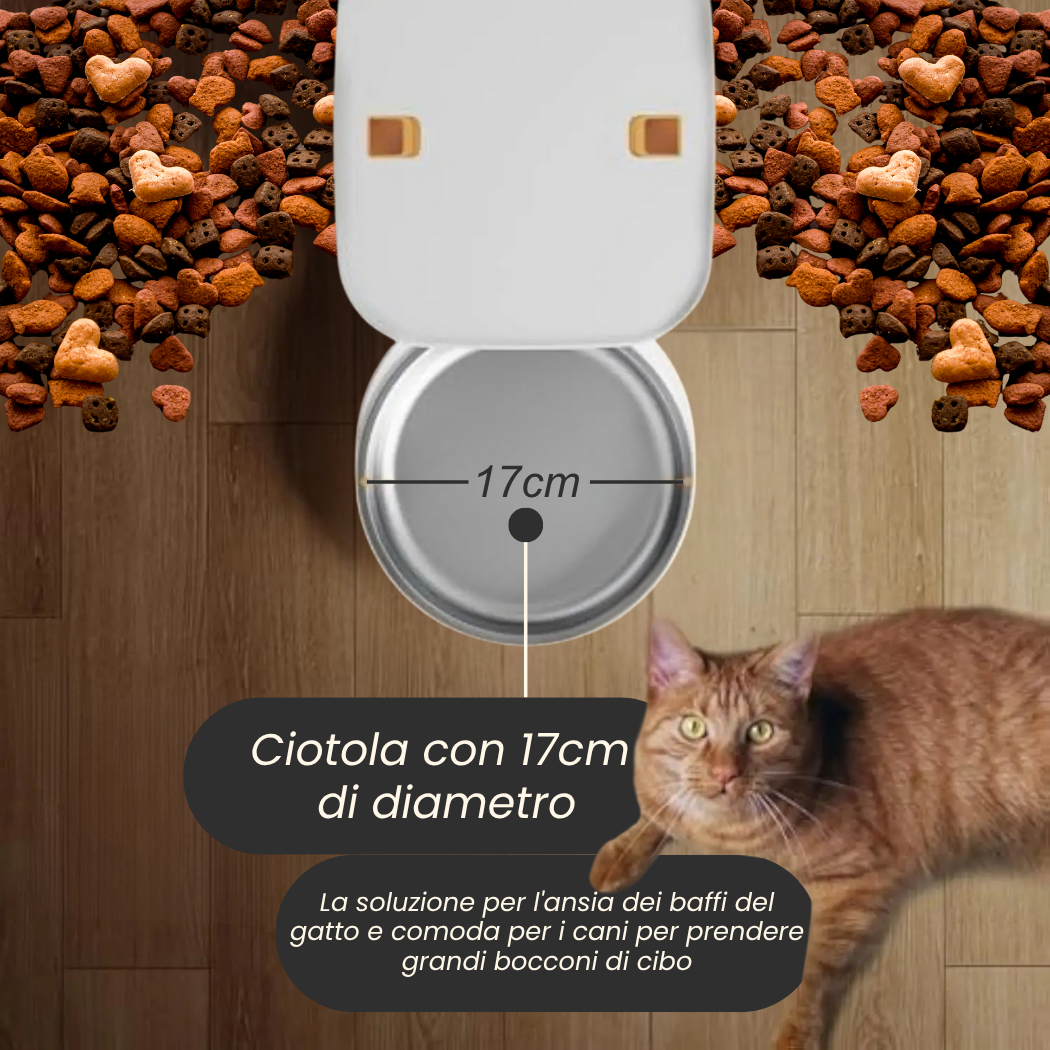 FeedIQ™ Distributore intelligente di cibo per animali domestici HD NVCam 4/8L WIFI
