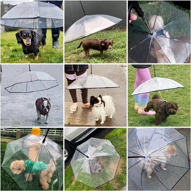 Mantieni il tuo cane felice e asciutto in qualsiasi condizione atmosferica